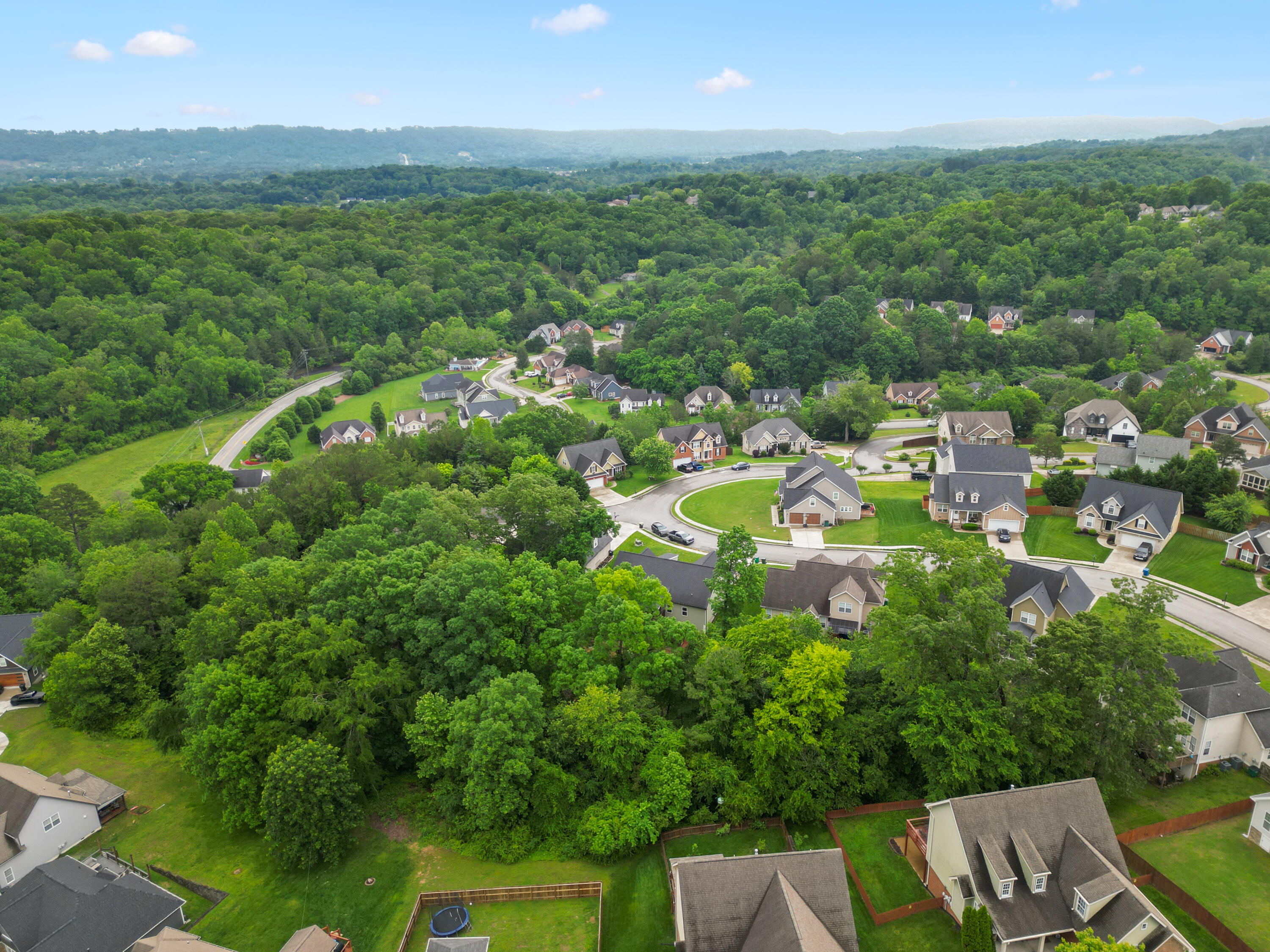 5834 Caney Ridge Circle, Ooltewah, Tennessee image 32