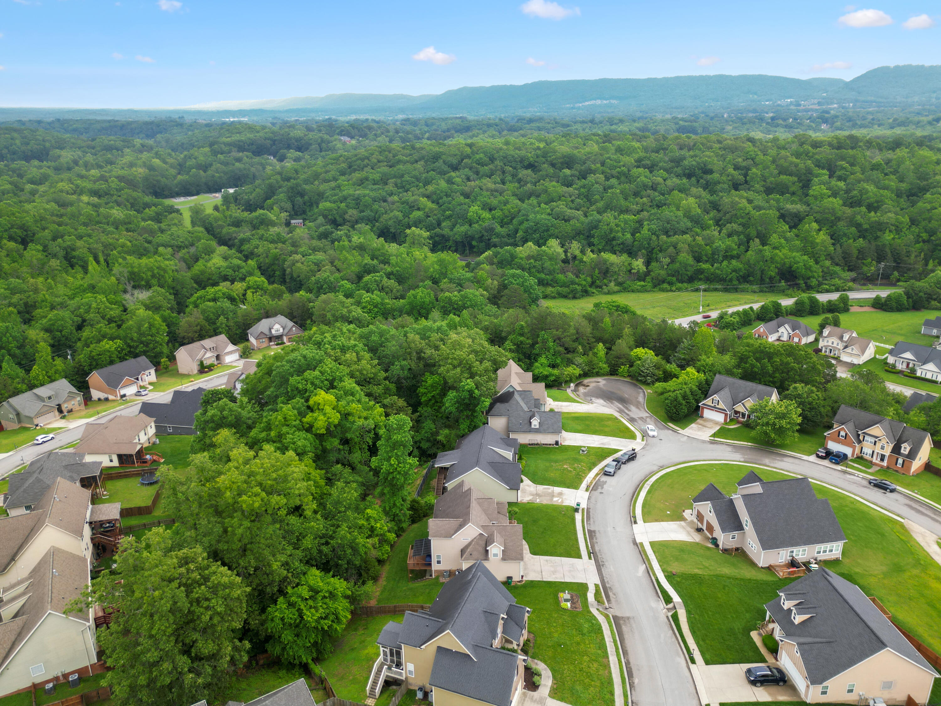 5834 Caney Ridge Circle, Ooltewah, Tennessee image 30