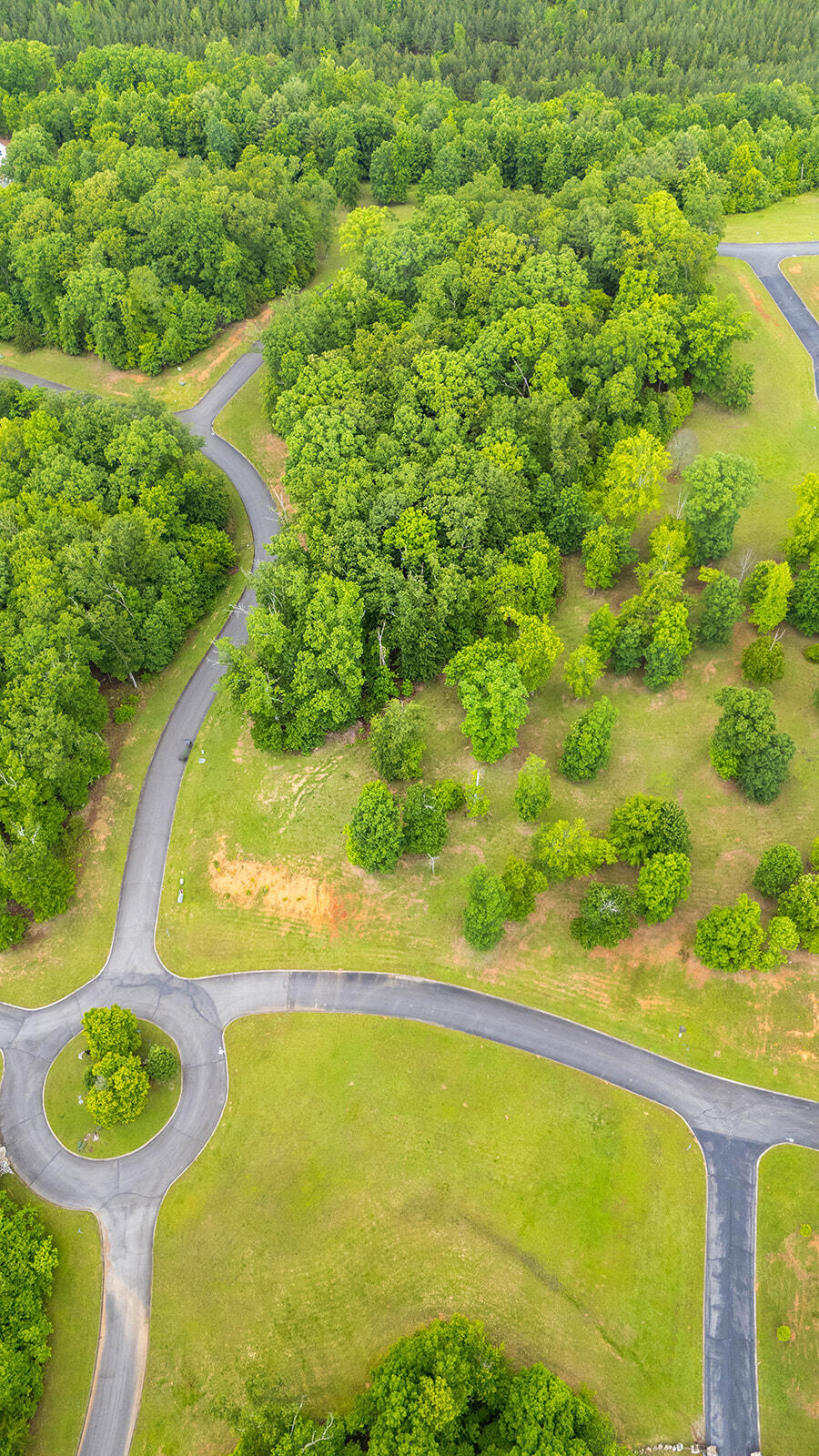 415 Rivermyst Drive, Spring City, Tennessee image 20