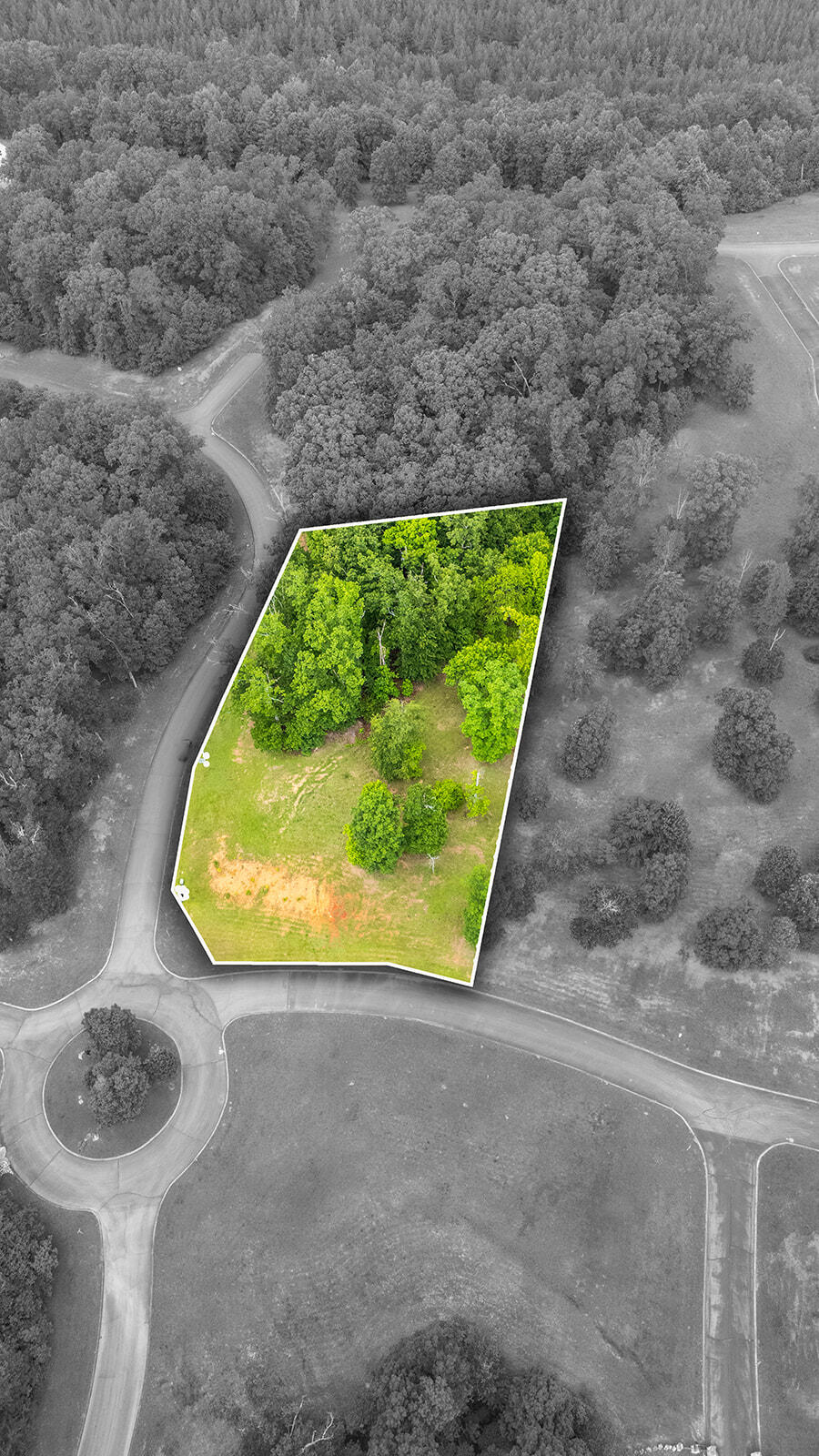 415 Rivermyst Drive, Spring City, Tennessee image 7