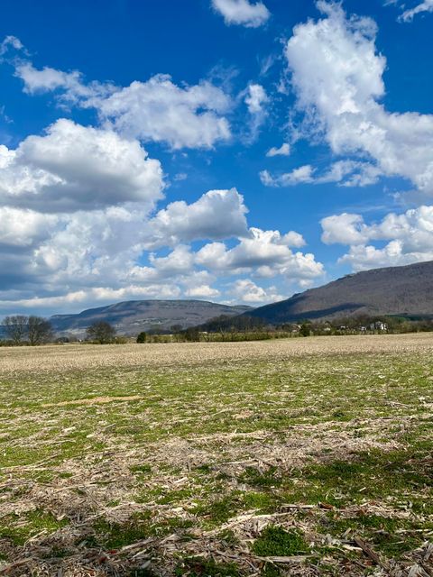 Vacant Land For Sale - 7799 E Valley Road<br/> Dunlap, TN 37327