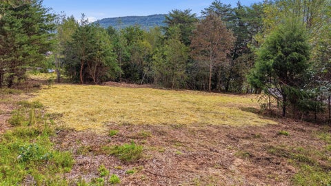 Photo of Tract 1b Cloverdale Road, Rising Fawn, GA 30738 (MLS # 1544762)