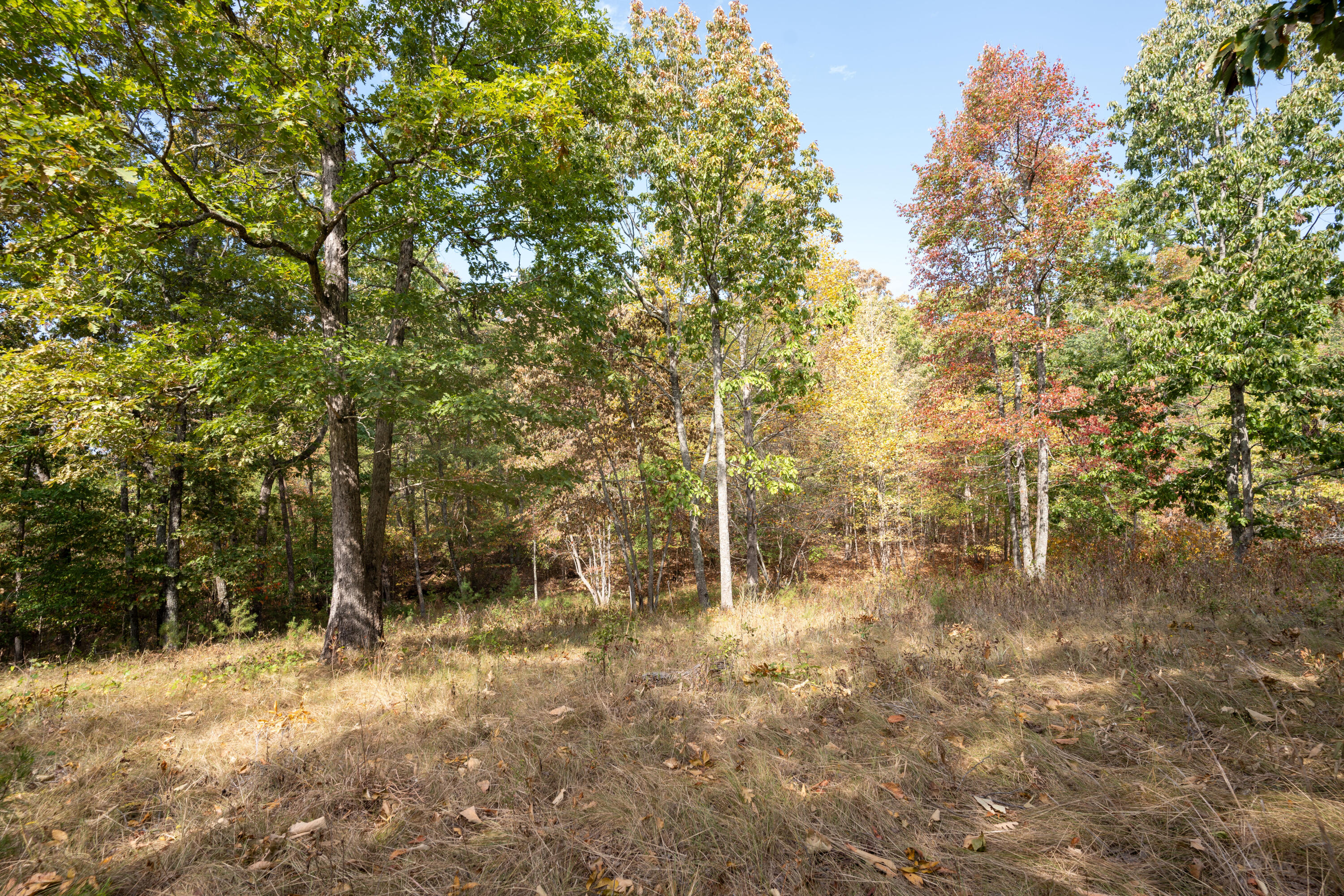 2.24 Acres Salolee Circle #253, South Pittsburg, Tennessee image 23
