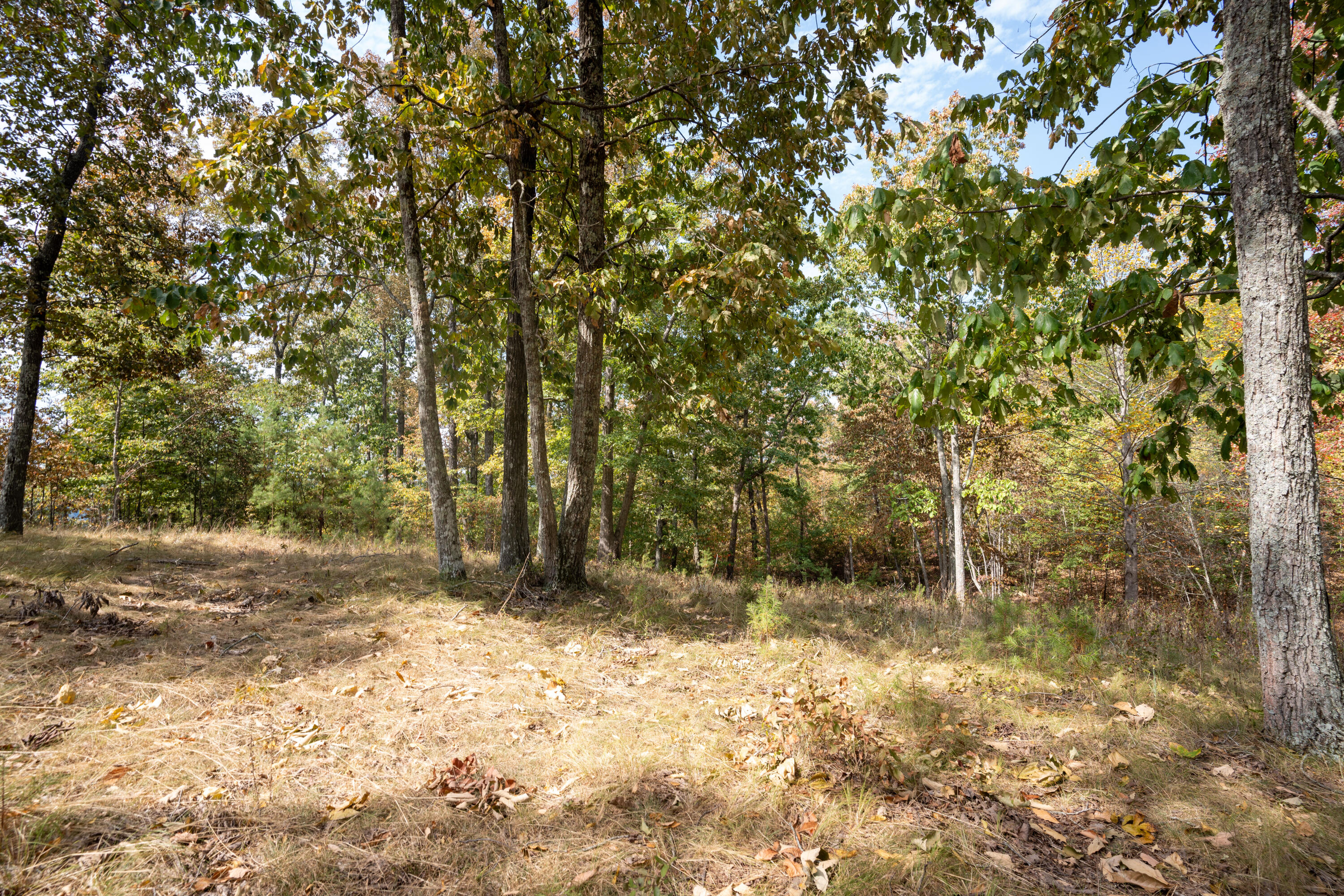 2.24 Acres Salolee Circle #253, South Pittsburg, Tennessee image 24