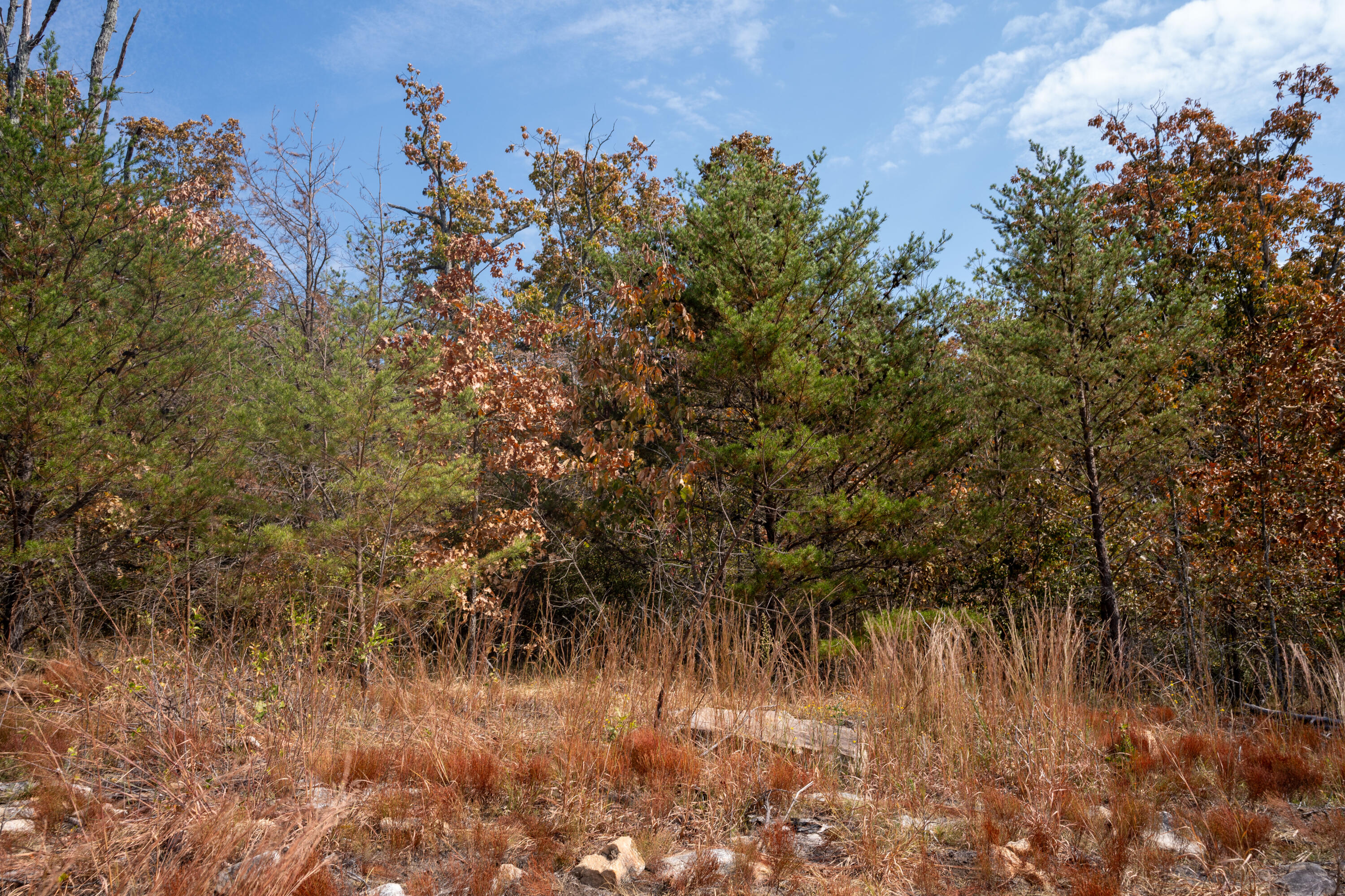 2.24 Acres Salolee Circle #253, South Pittsburg, Tennessee image 21