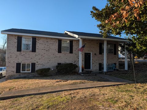 Photo of 4013 Lost Oaks Drive, Ooltewah, TN 37363 (MLS # 1527699)