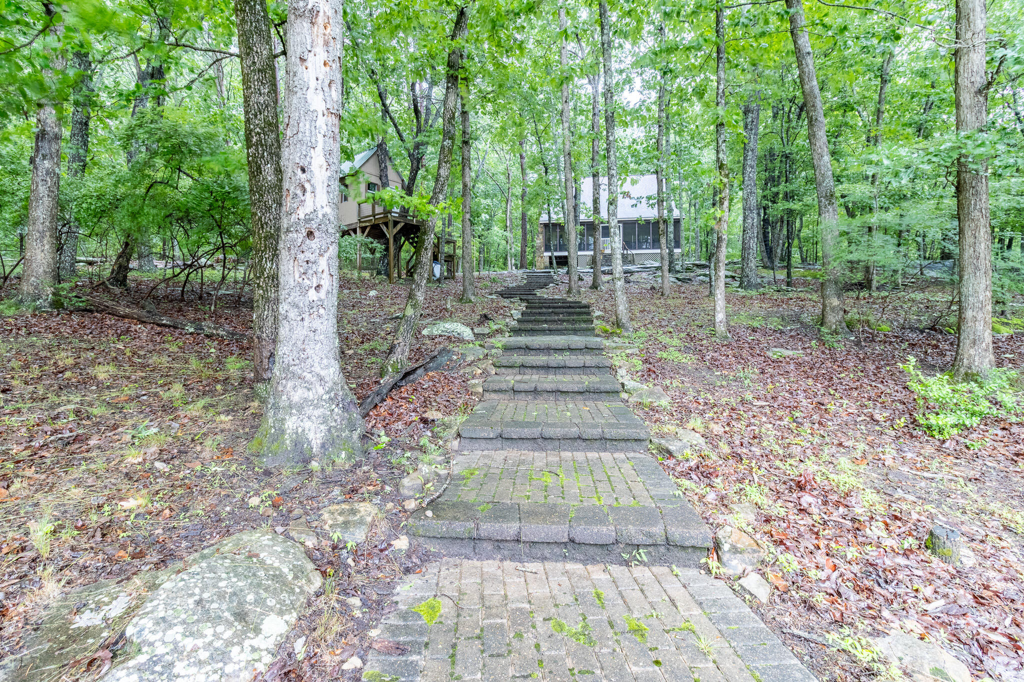 324 Fawn Drive, Menlo, Georgia image 26