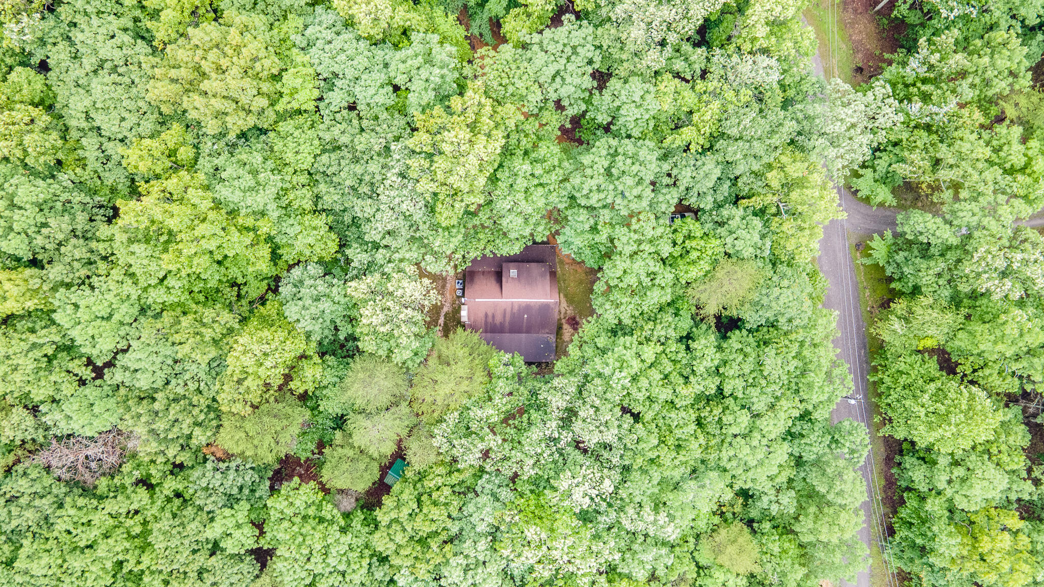 324 Fawn Drive, Menlo, Georgia image 33