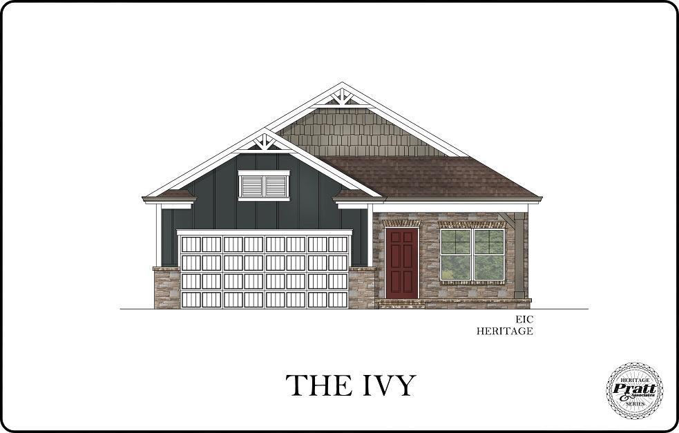 The Ivy Rendering