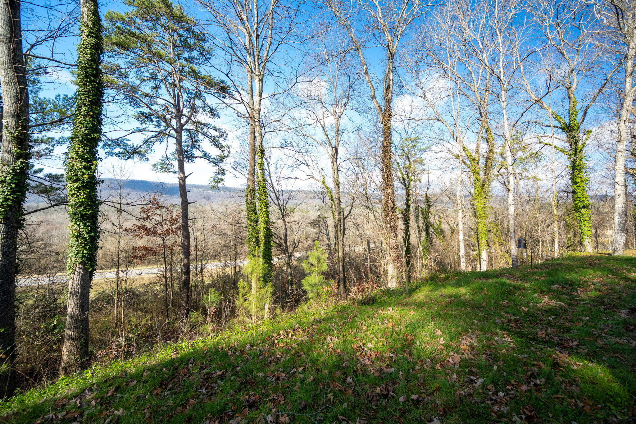 4590 Highway N 341, Flintstone, Georgia image 3