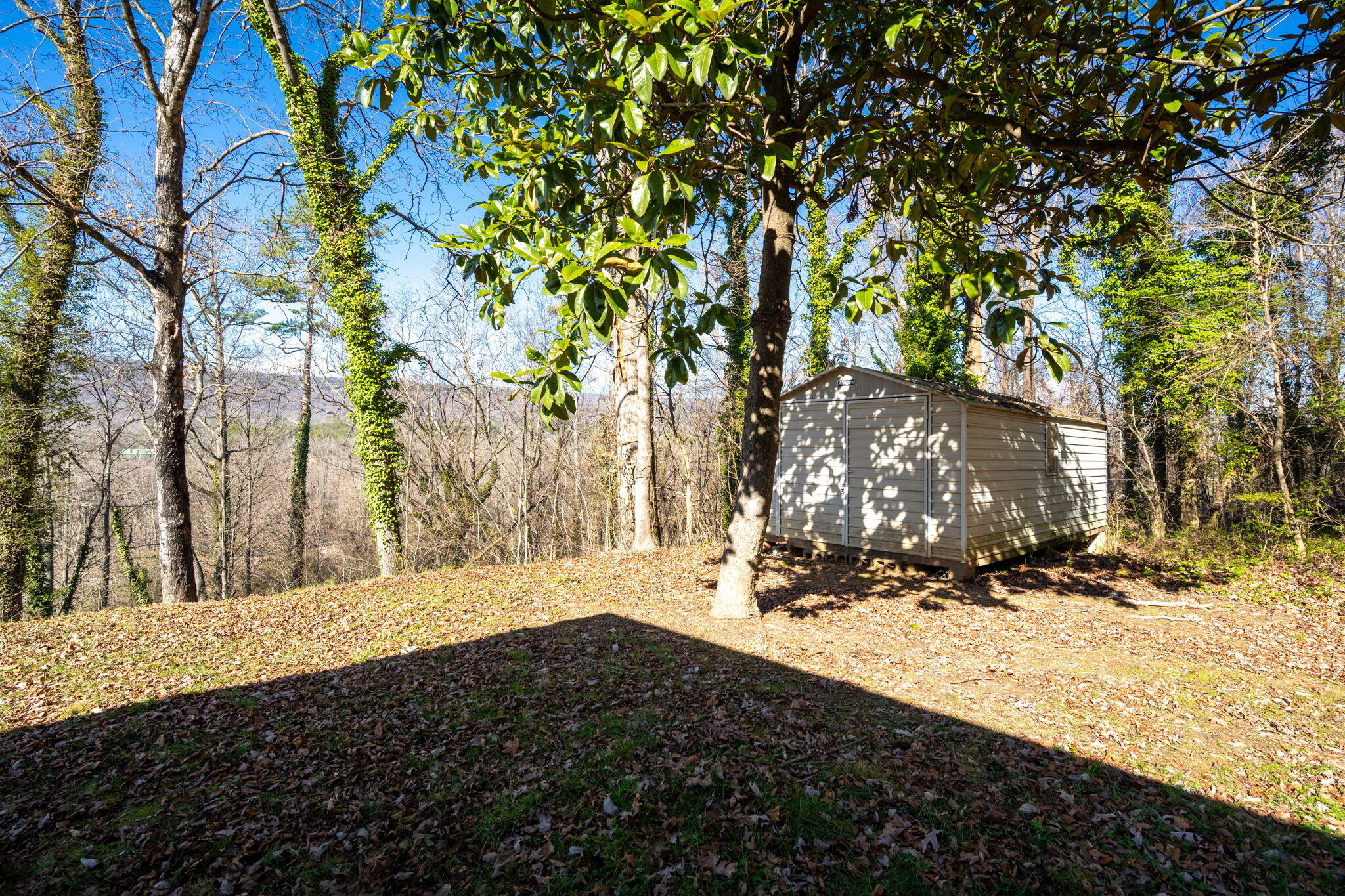 4590 Highway N 341, Flintstone, Georgia image 34