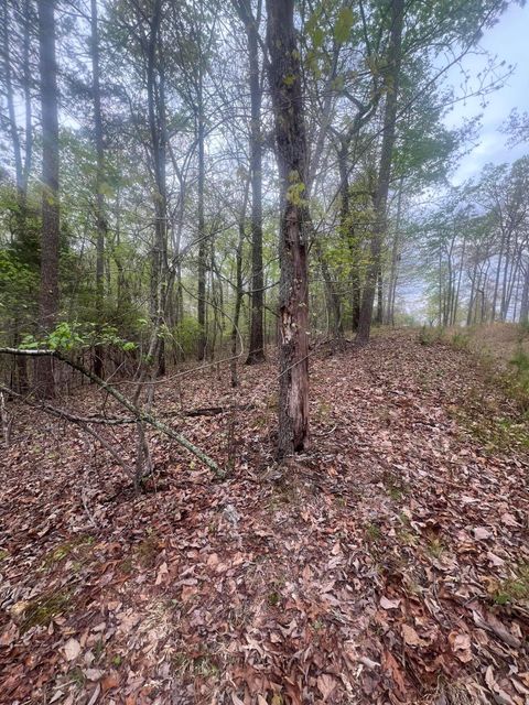 Tiny photo for 11734 Armstrong Road, Soddy Daisy, TN 37379 (MLS # 1389884)