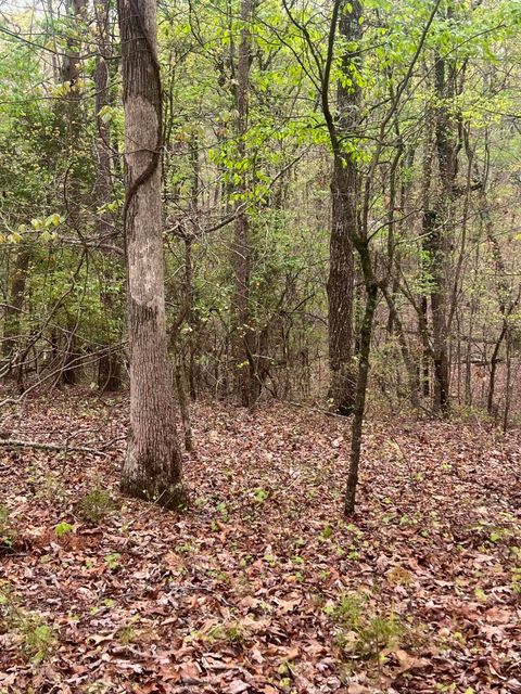 Photo of 11734 Armstrong Road, Soddy Daisy, TN 37379 (MLS # 1389884)