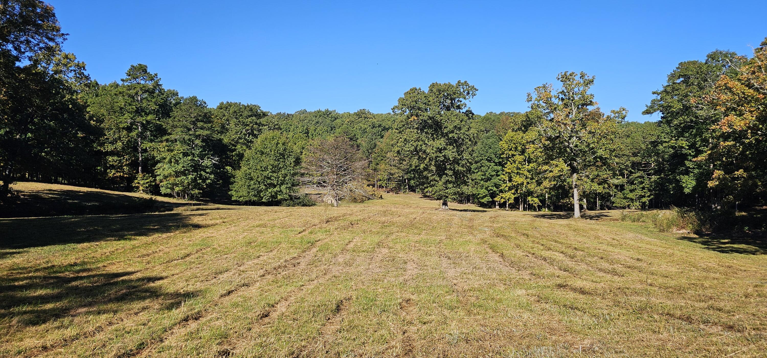 2618 Lead Mine Valley Road, Cleveland, Tennessee image 12