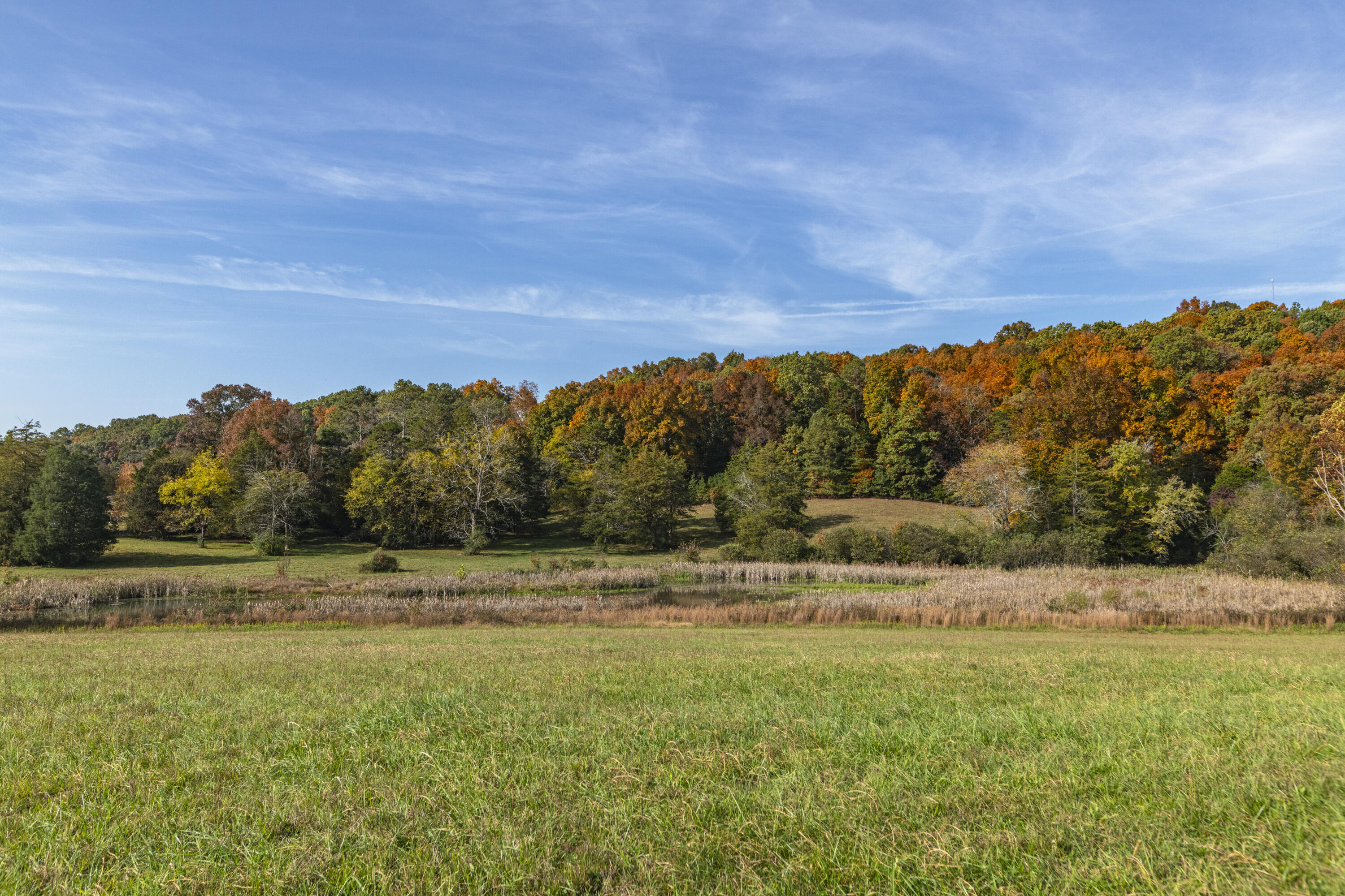 2618 Lead Mine Valley Road, Cleveland, Tennessee image 5