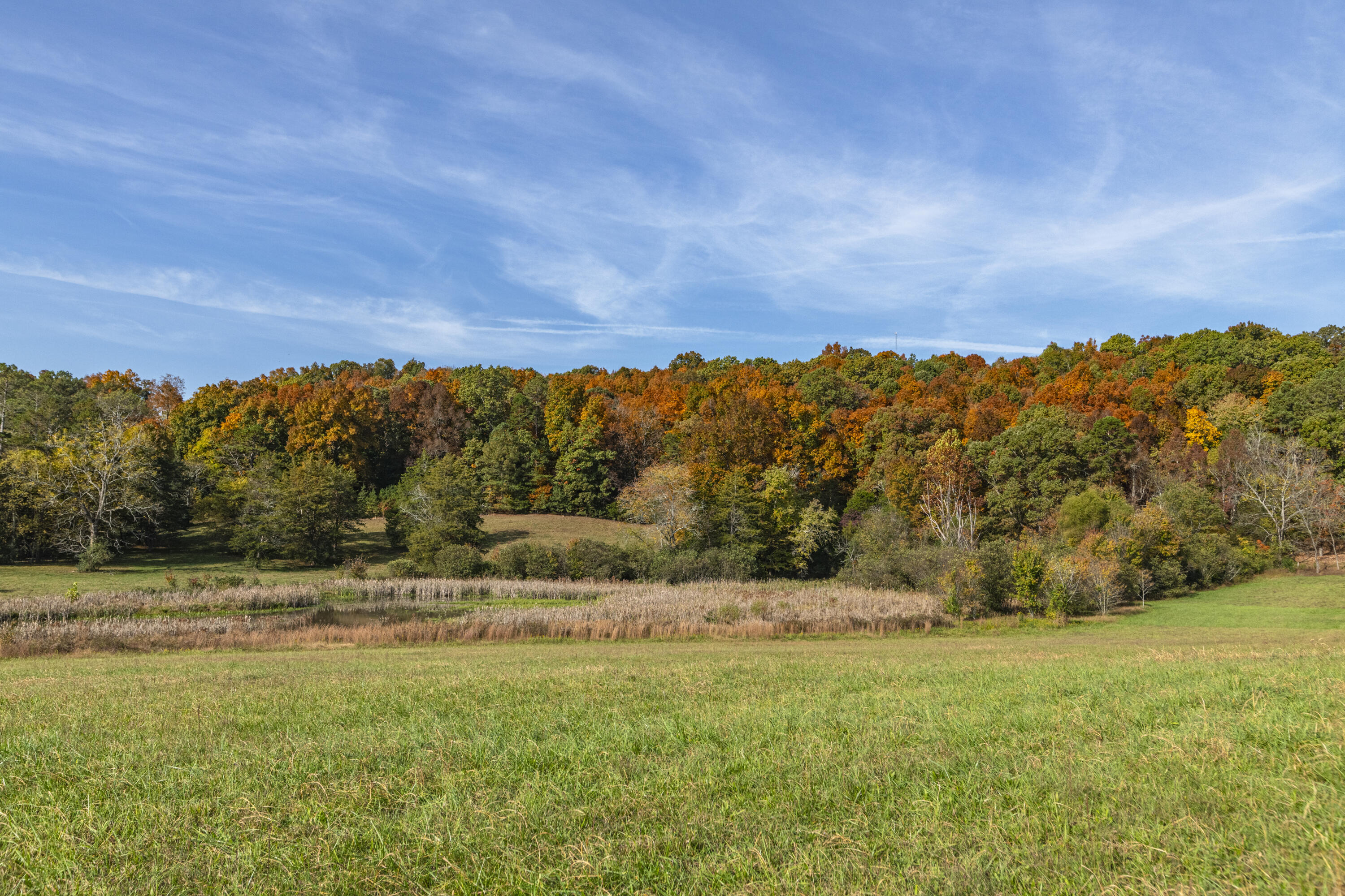 2618 Lead Mine Valley Road, Cleveland, Tennessee image 4