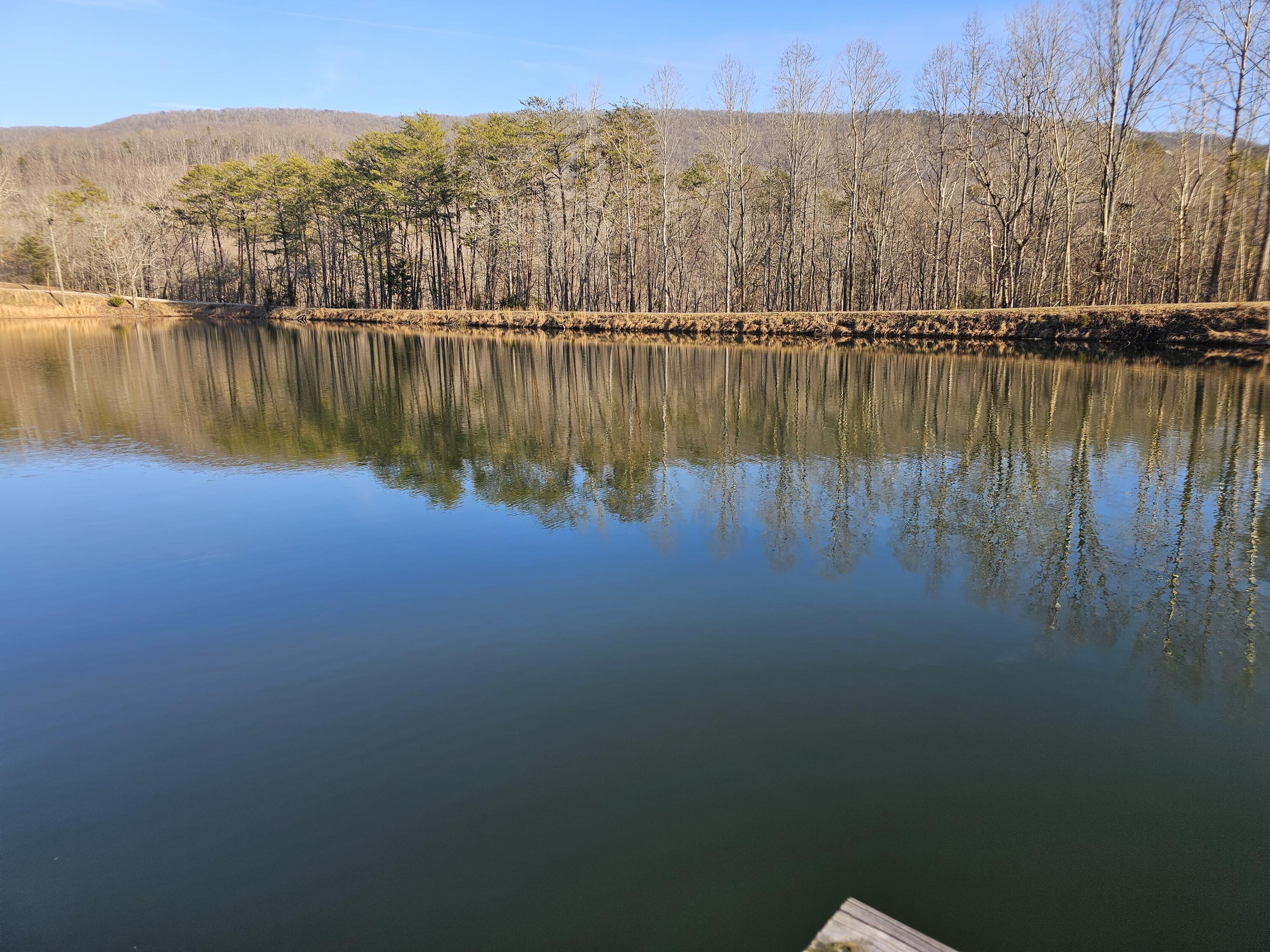 2970 Newsome Gap Road, Rising Fawn, Georgia image 24