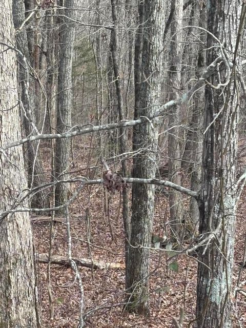 Tiny photo for Lot 2 Forest Drive, Ringgold, GA 30736 (MLS # 1506816)