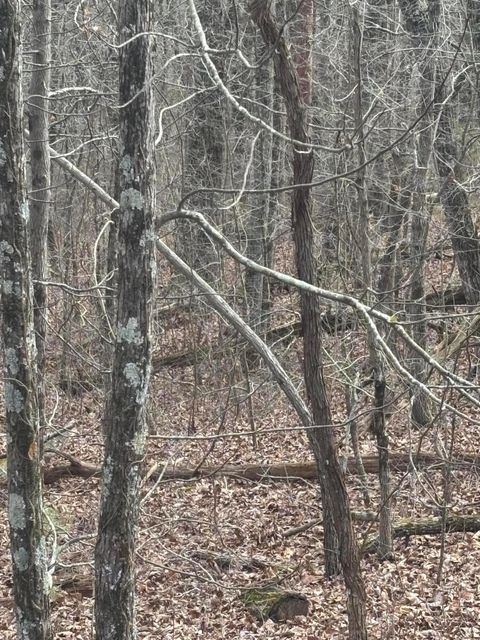 Tiny photo for Lot 2 Forest Drive, Ringgold, GA 30736 (MLS # 1506816)