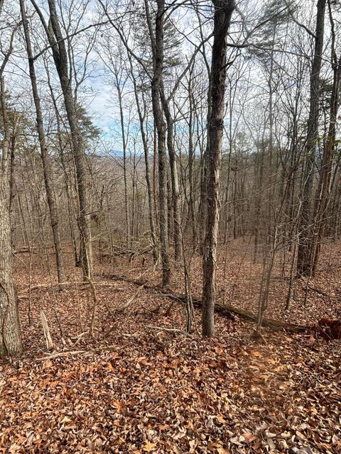 Photo of Lot 2 Forest Drive, Ringgold, GA 30736 (MLS # 1506816)
