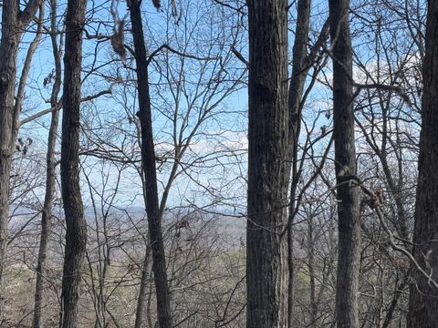 Tiny photo for Lot 2 Forest Drive, Ringgold, GA 30736 (MLS # 1506816)