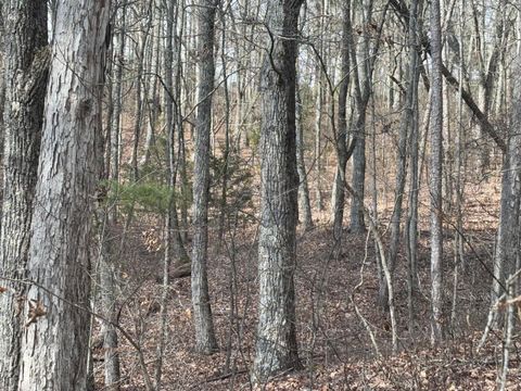 Tiny photo for Lot 2 Forest Drive, Ringgold, GA 30736 (MLS # 1506816)