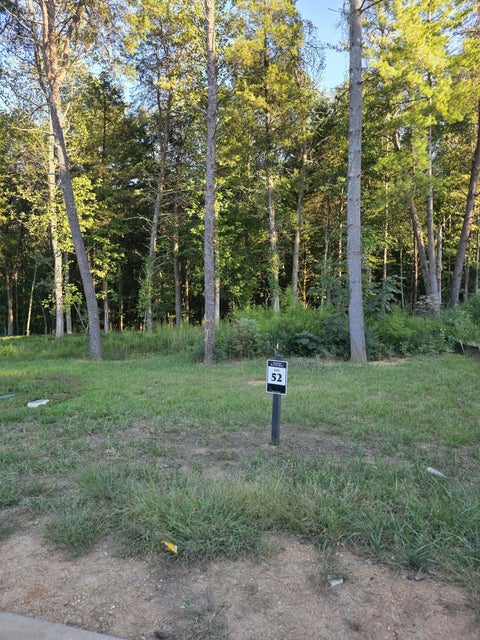 Vacant Land For Sale - 248 Lake Life Way<br/> Loudon, TN 37774