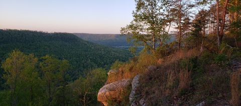 Tiny photo for 0 Crockett Pointe #Jf161, Jasper, TN 37347 (MLS # 1372366)