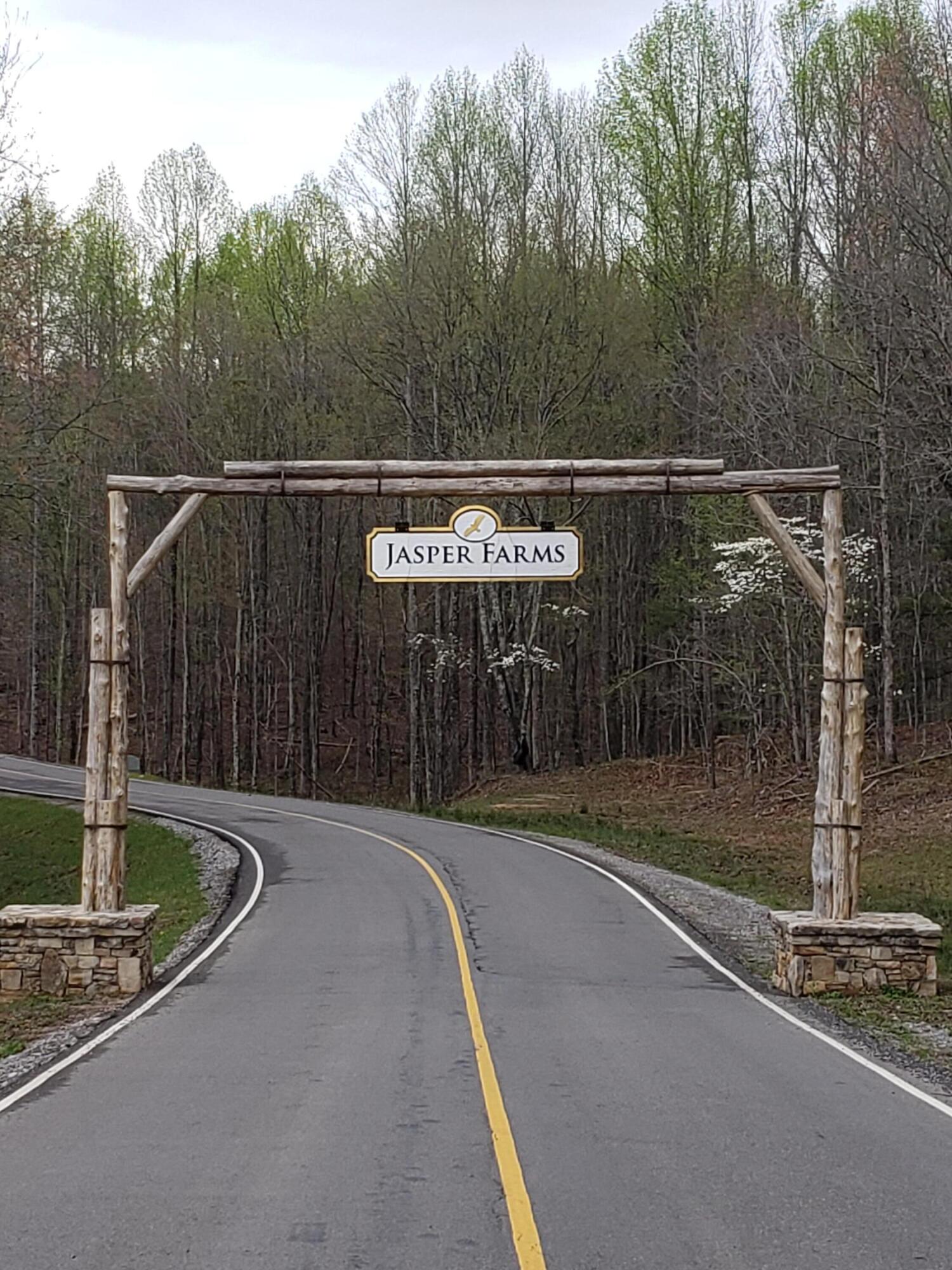 Crockett Pointe #JF161, Jasper, Tennessee image 13