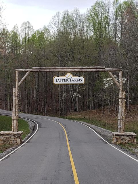 Tiny photo for 0 Crockett Pointe #Jf161, Jasper, TN 37347 (MLS # 1372366)