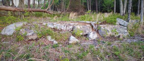 Tiny photo for 0 Crockett Pointe #Jf161, Jasper, TN 37347 (MLS # 1372366)