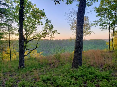 Tiny photo for 0 Crockett Pointe #Jf161, Jasper, TN 37347 (MLS # 1372366)