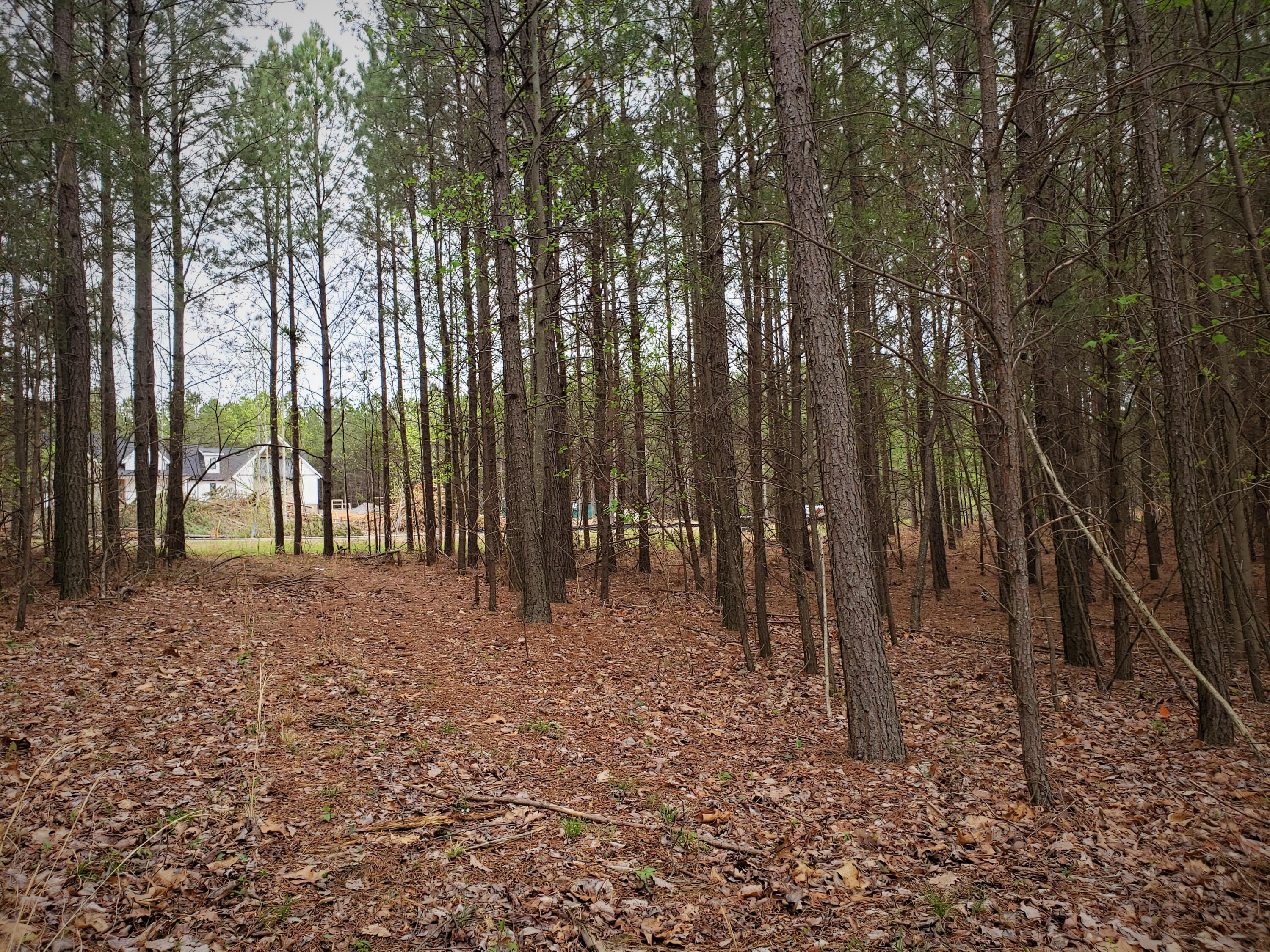 Crockett Pointe #JF161, Jasper, Tennessee image 5