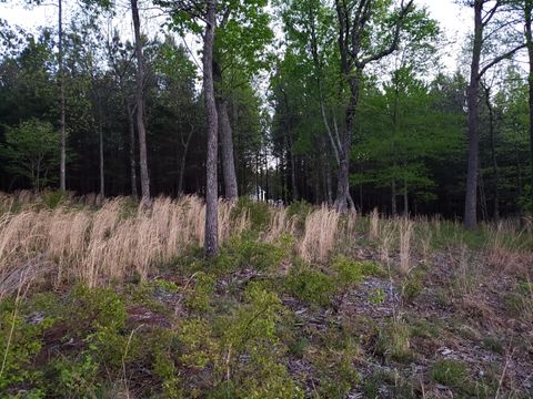 Tiny photo for 0 Crockett Pointe #Jf161, Jasper, TN 37347 (MLS # 1372366)