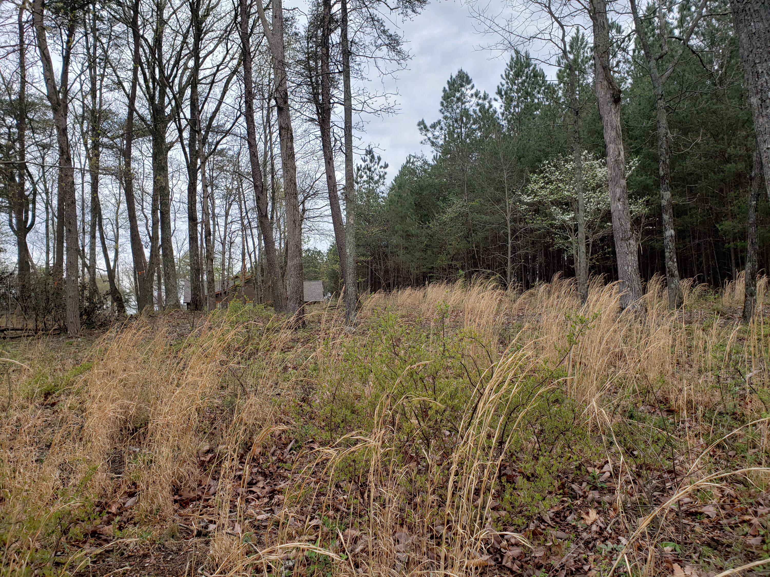 Crockett Pointe #JF161, Jasper, Tennessee image 8