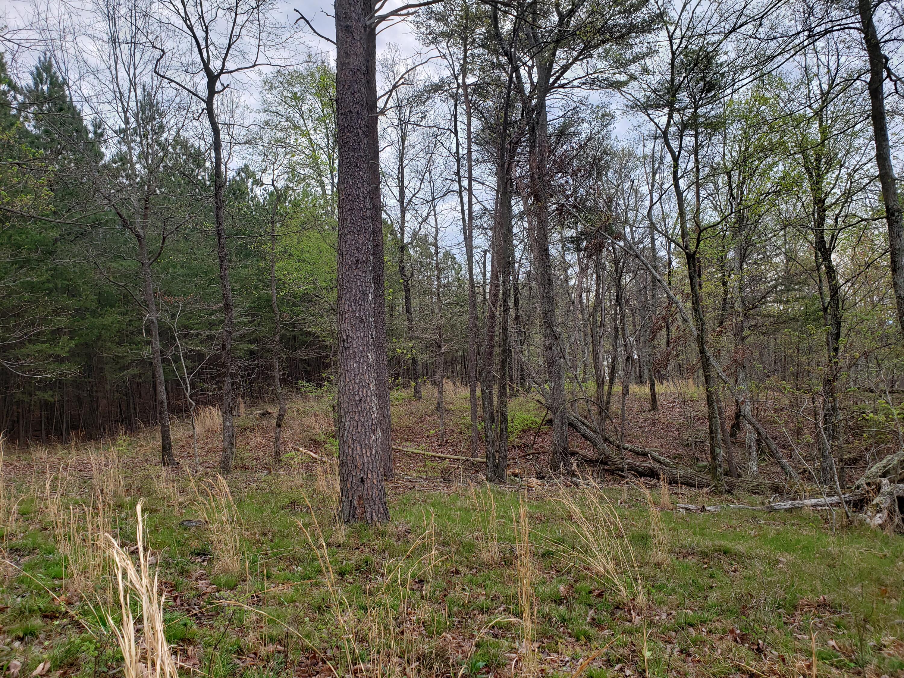 Crockett Pointe #JF161, Jasper, Tennessee image 7