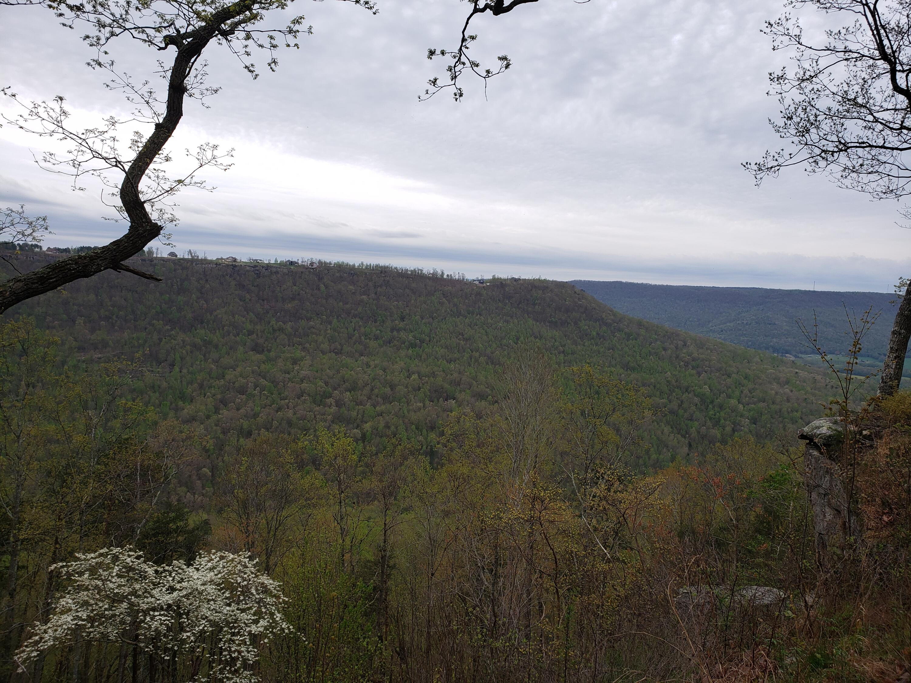 Crockett Pointe #JF161, Jasper, Tennessee image 4