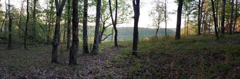 Tiny photo for 0 Crockett Pointe #Jf161, Jasper, TN 37347 (MLS # 1372366)