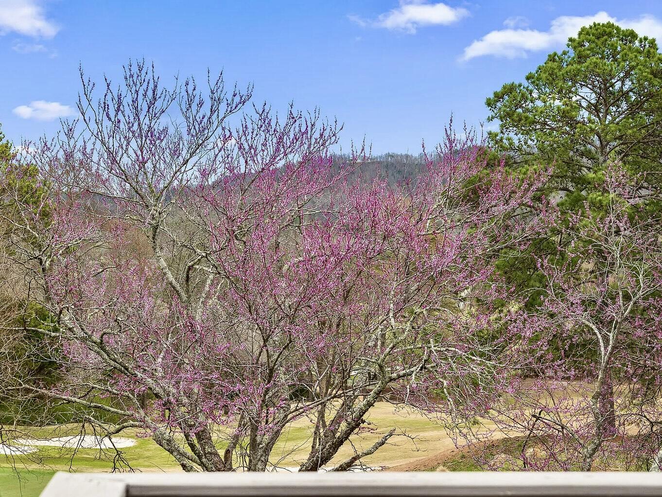 Ringgold, Georgia 30736, United States, 1 Bedroom Bedrooms, ,2 BathroomsBathrooms,Residential,Active,189989