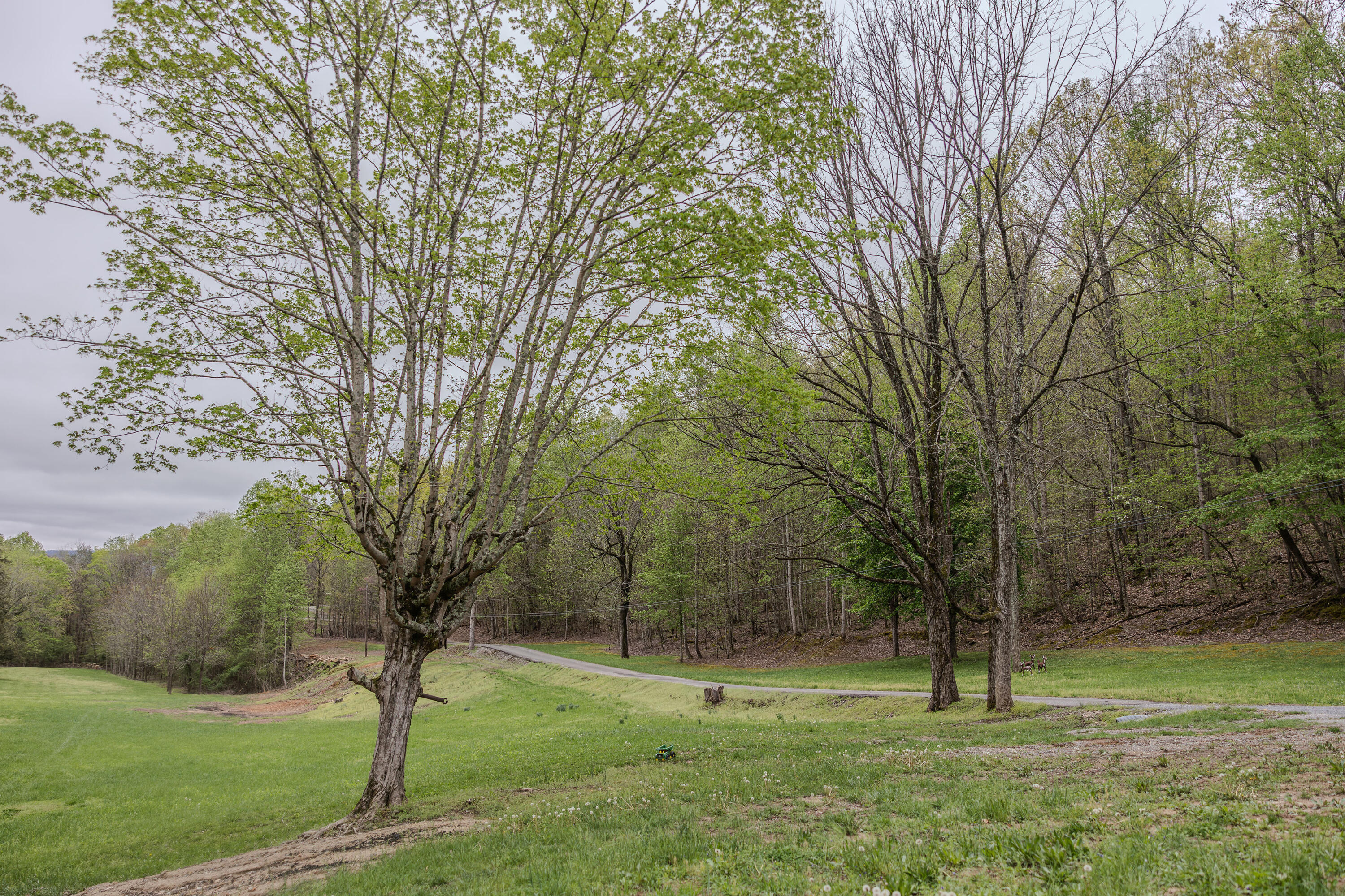 846 Bailey Road, Dunlap, Tennessee image 6
