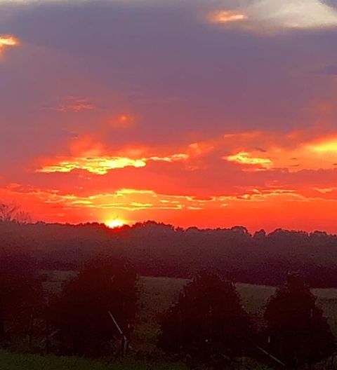 Tiny photo for 887 Sunset Drive, Rising Fawn, GA 30738 (MLS # 1526968)