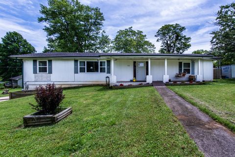 Photo of 311 Birchwood Street, Pikeville, TN 37367 (MLS # 1515123)