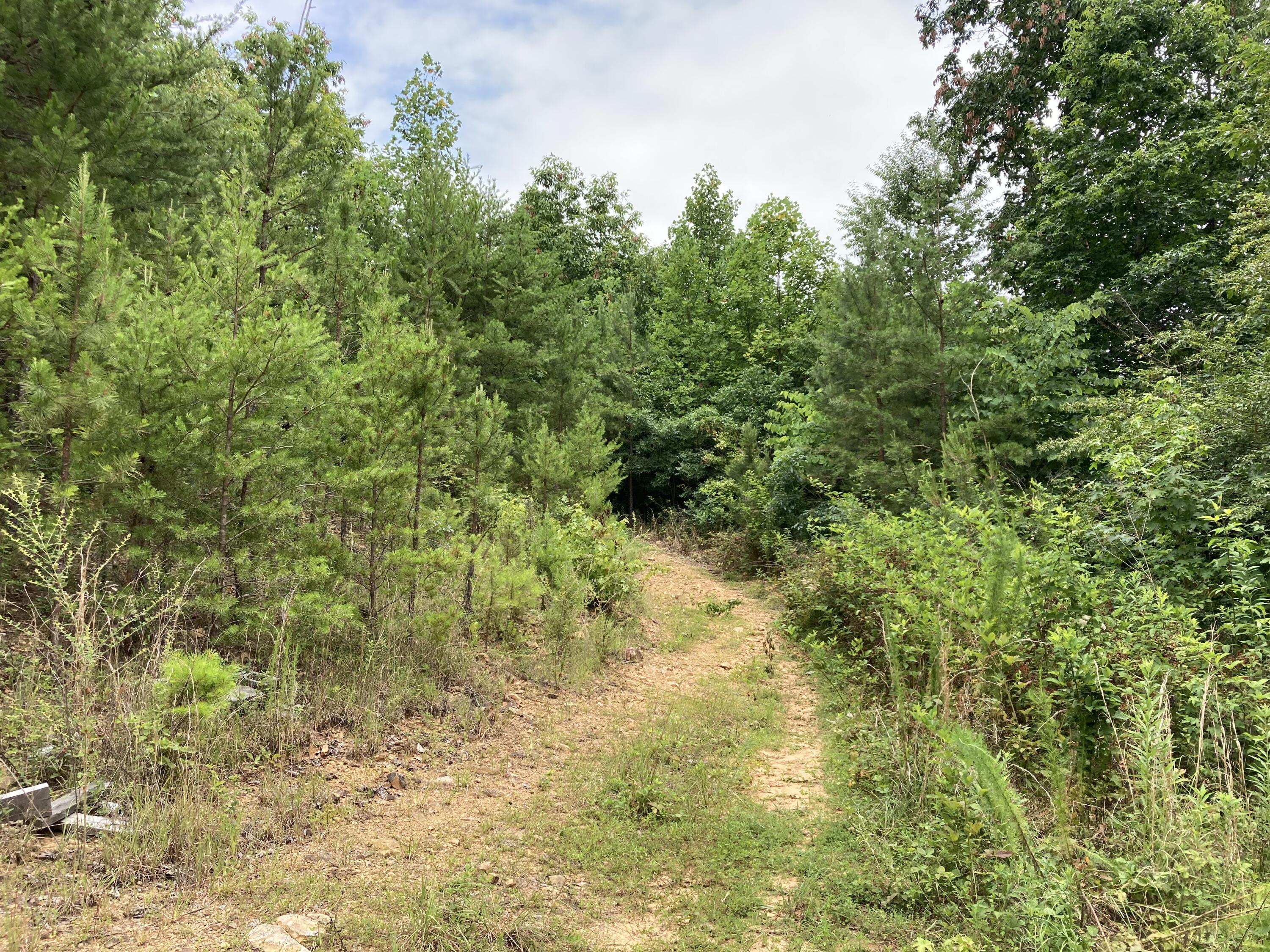 O Orme Mountain Road, South Pittsburg, Tennessee image 3