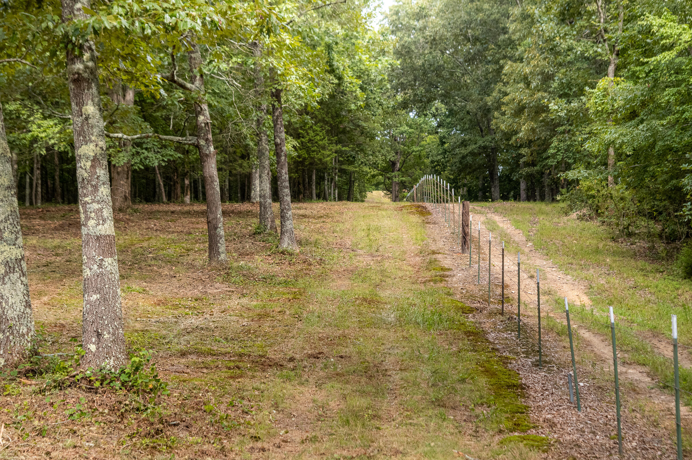 12814 Cranfield Road, Birchwood, Tennessee image 35