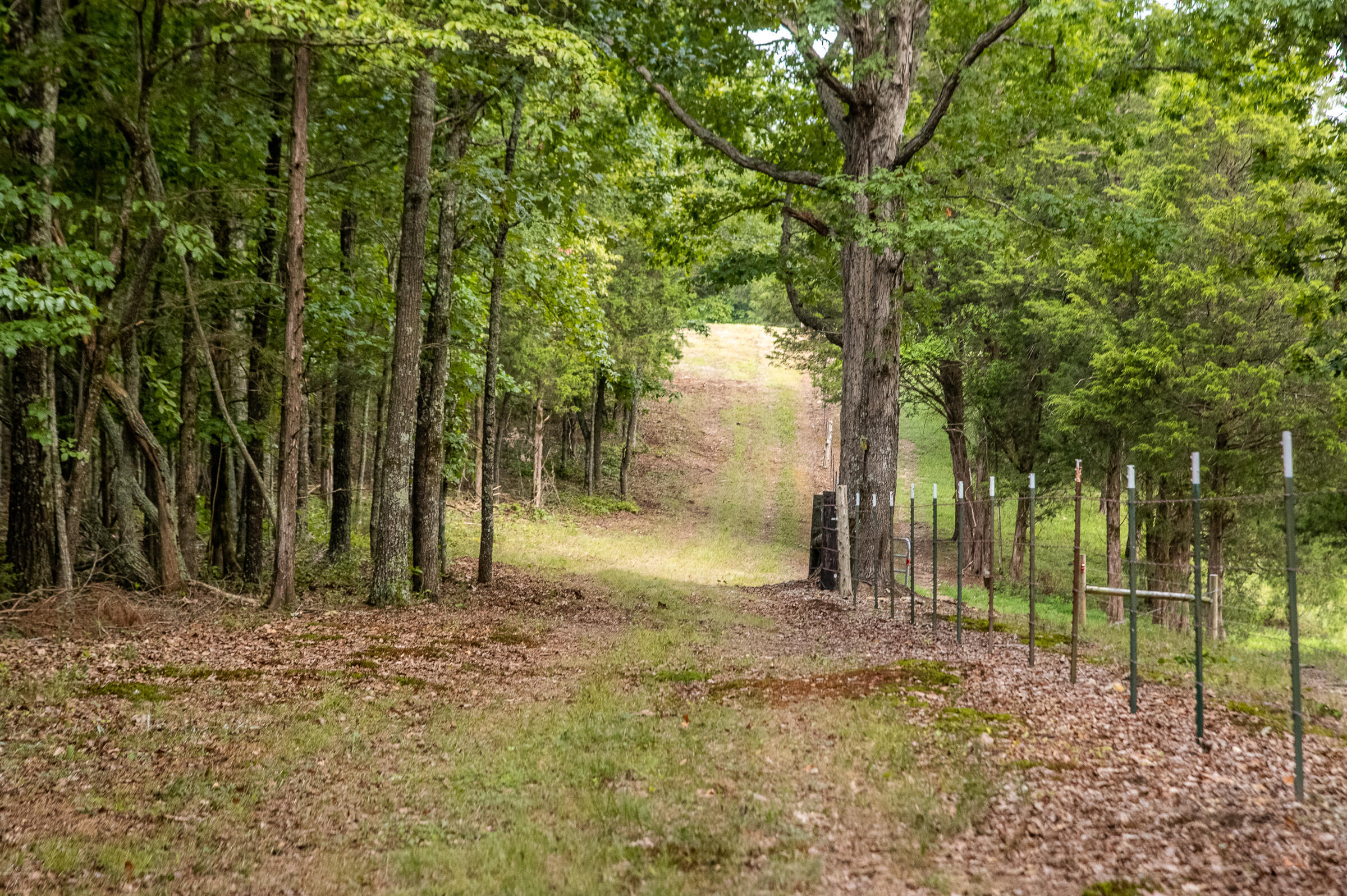 12814 Cranfield Road, Birchwood, Tennessee image 36