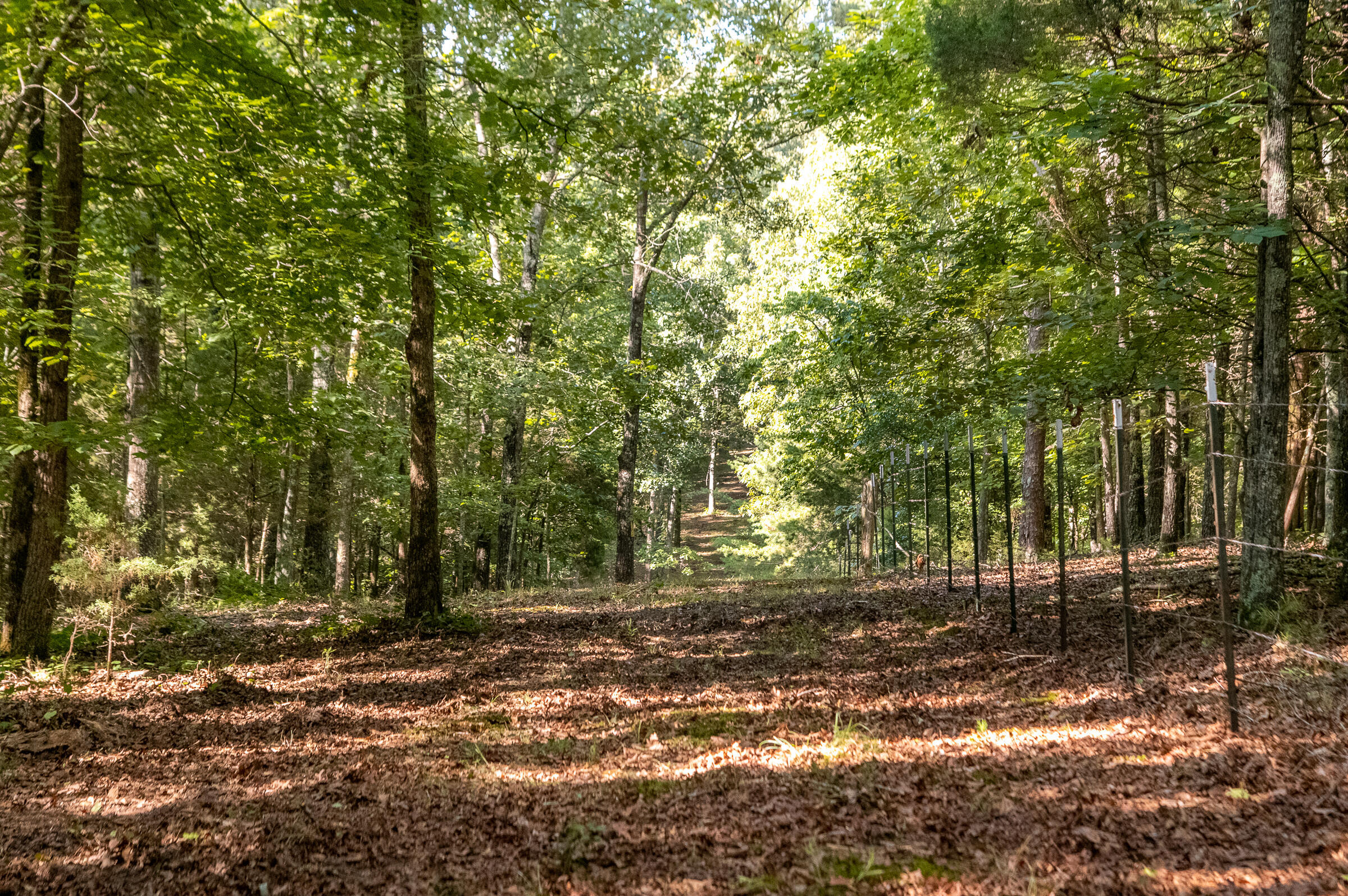 12814 Cranfield Road, Birchwood, Tennessee image 17