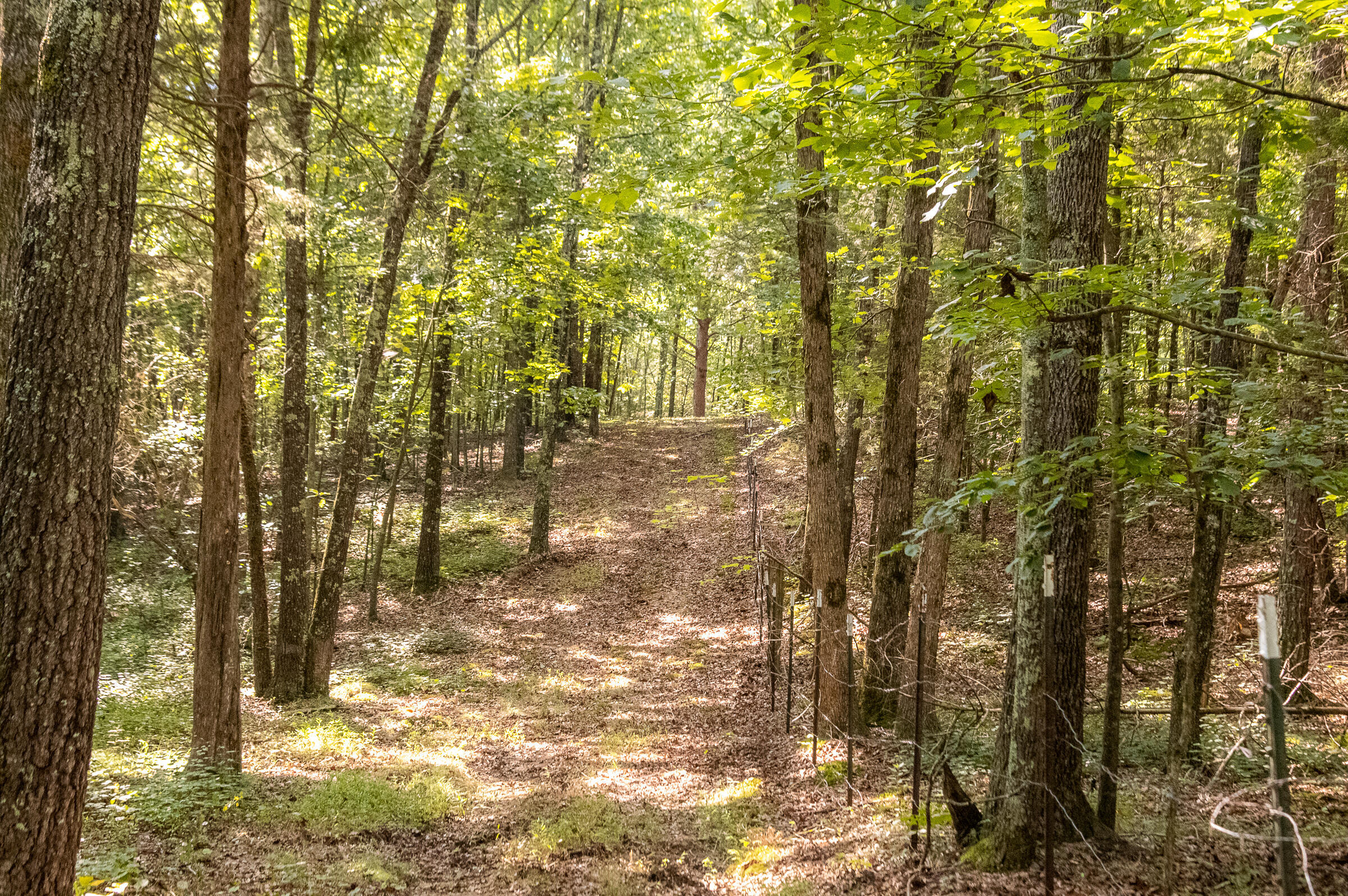 12814 Cranfield Road, Birchwood, Tennessee image 16