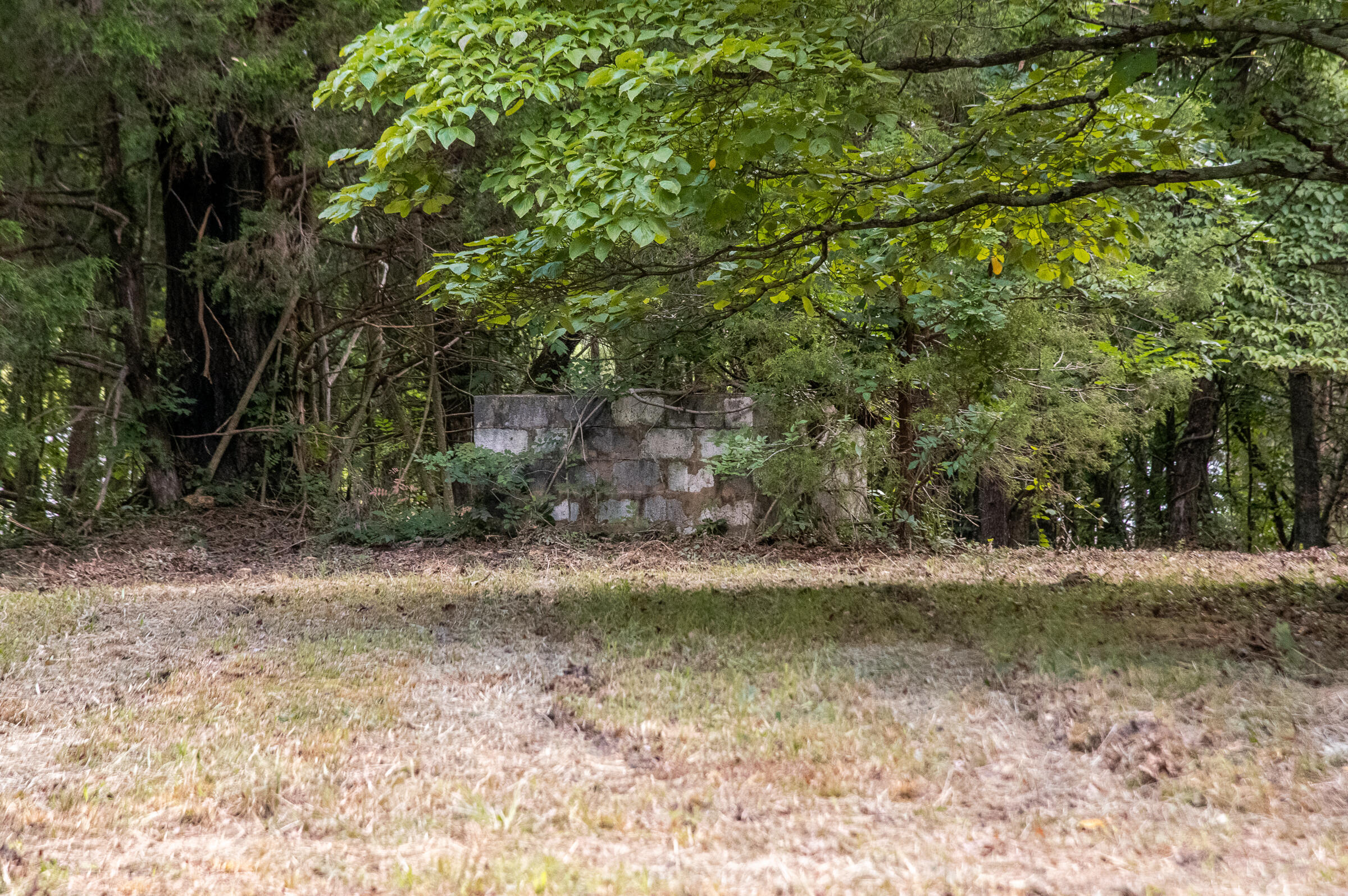 12814 Cranfield Road, Birchwood, Tennessee image 45