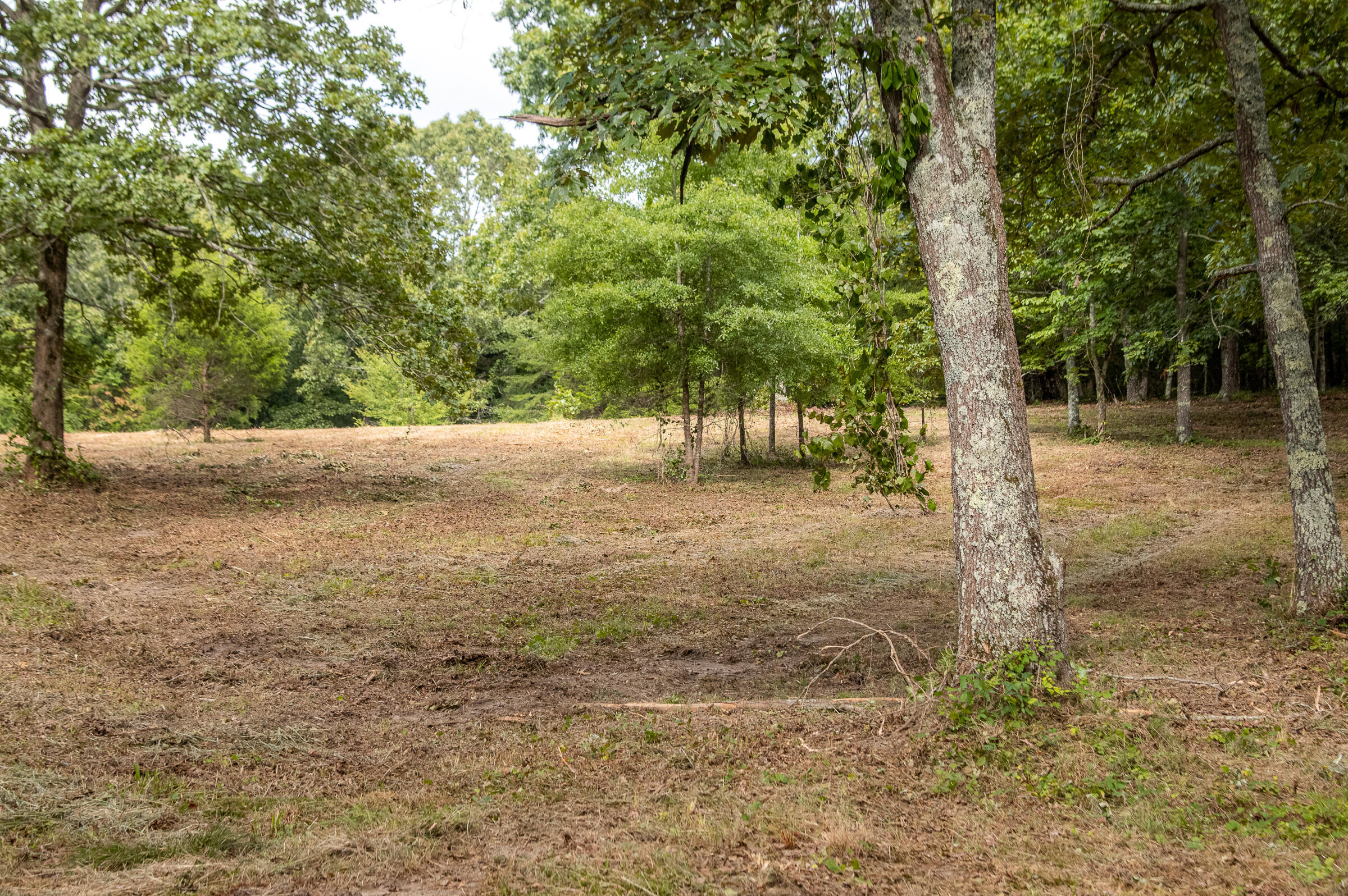 12814 Cranfield Road, Birchwood, Tennessee image 34
