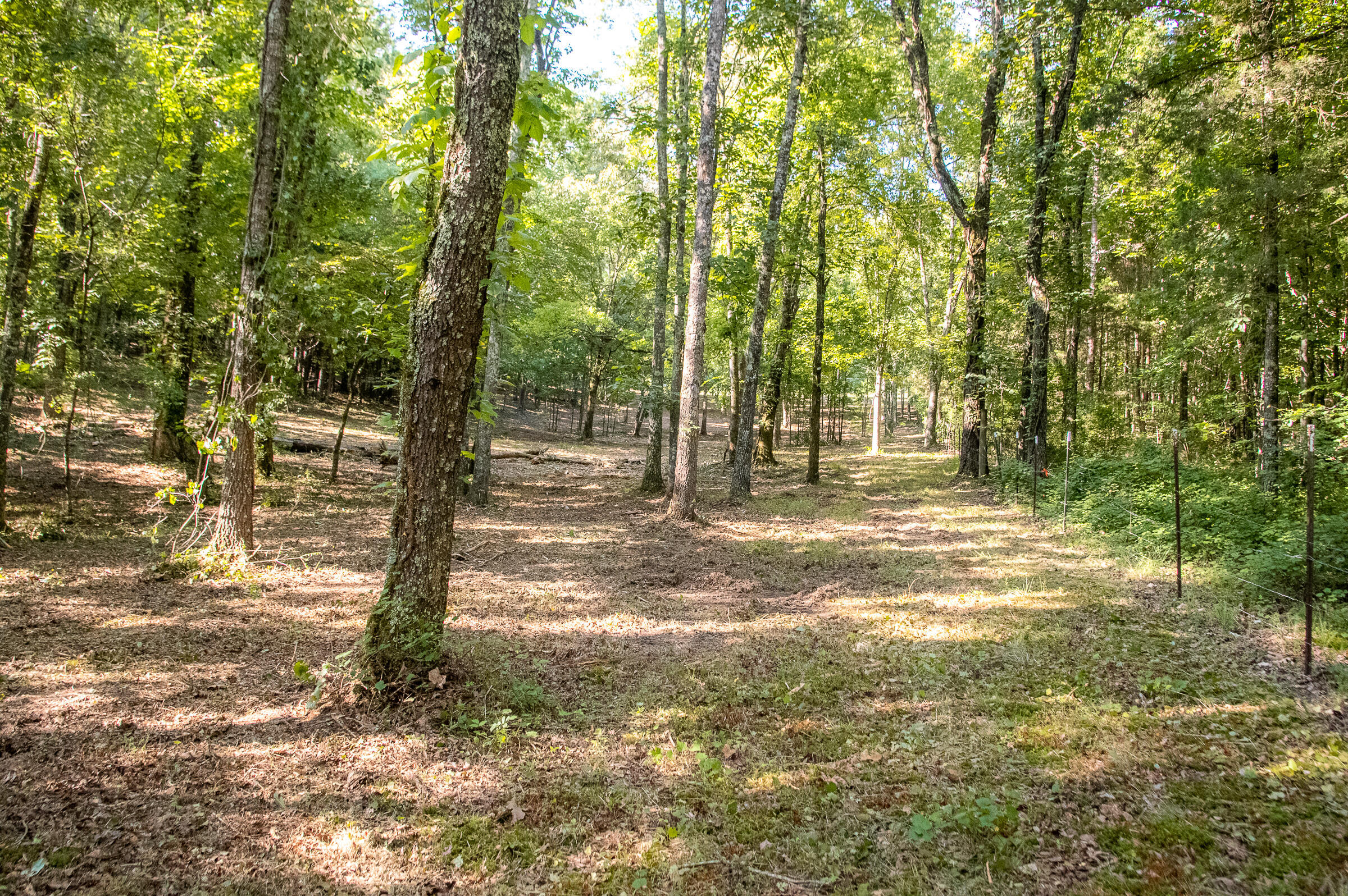 12814 Cranfield Road, Birchwood, Tennessee image 20